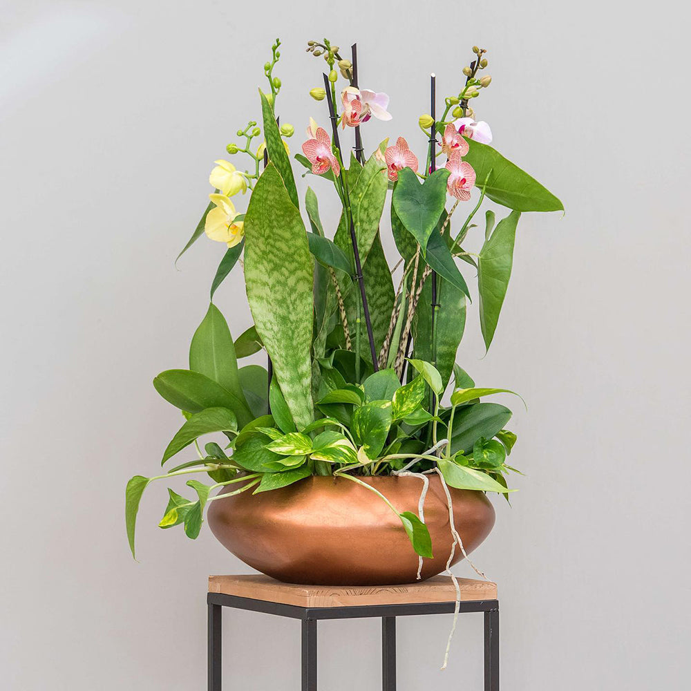 BAQ METALLIC BOWL UFO MATT COPPER kaspó zöldnövényekkel és orchideával dekorálva modern enteriőrben