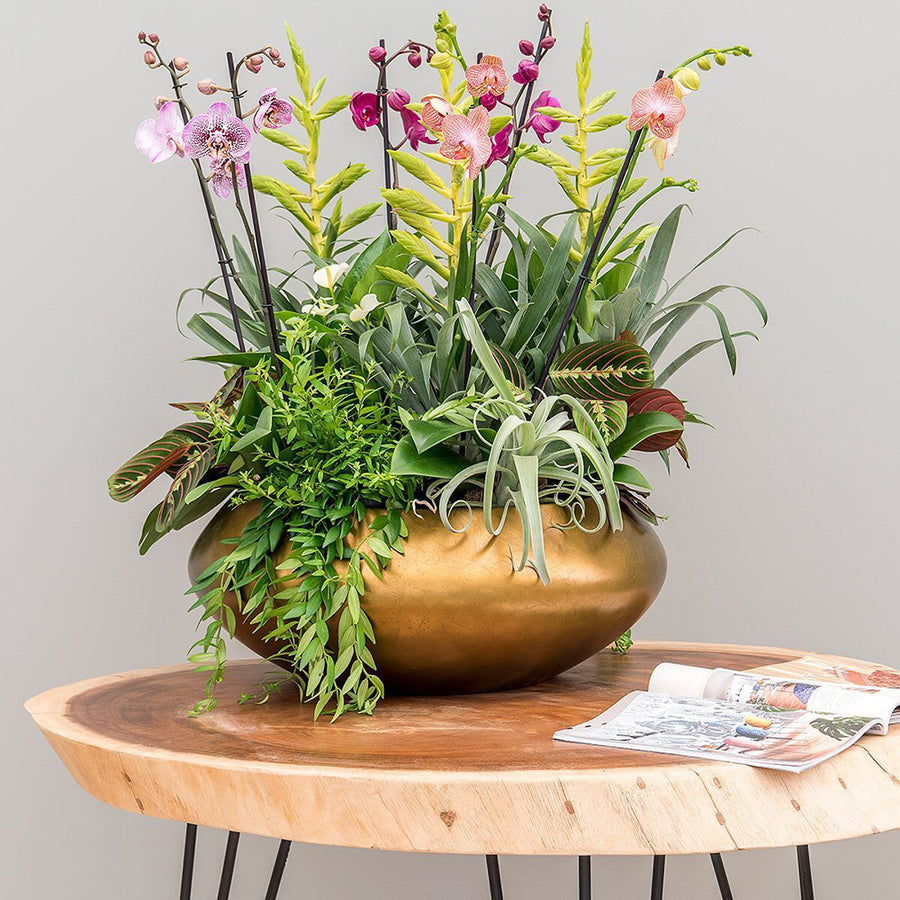 BAQ Metallic Bowl UFO kaspó arany színben, növényekkel beültetve fa asztalon elhelyezve