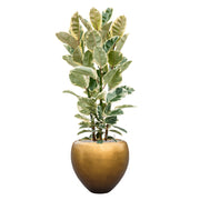 BAQ kaspó zöld, tarka gumifával díszítve, világos háttérrel

