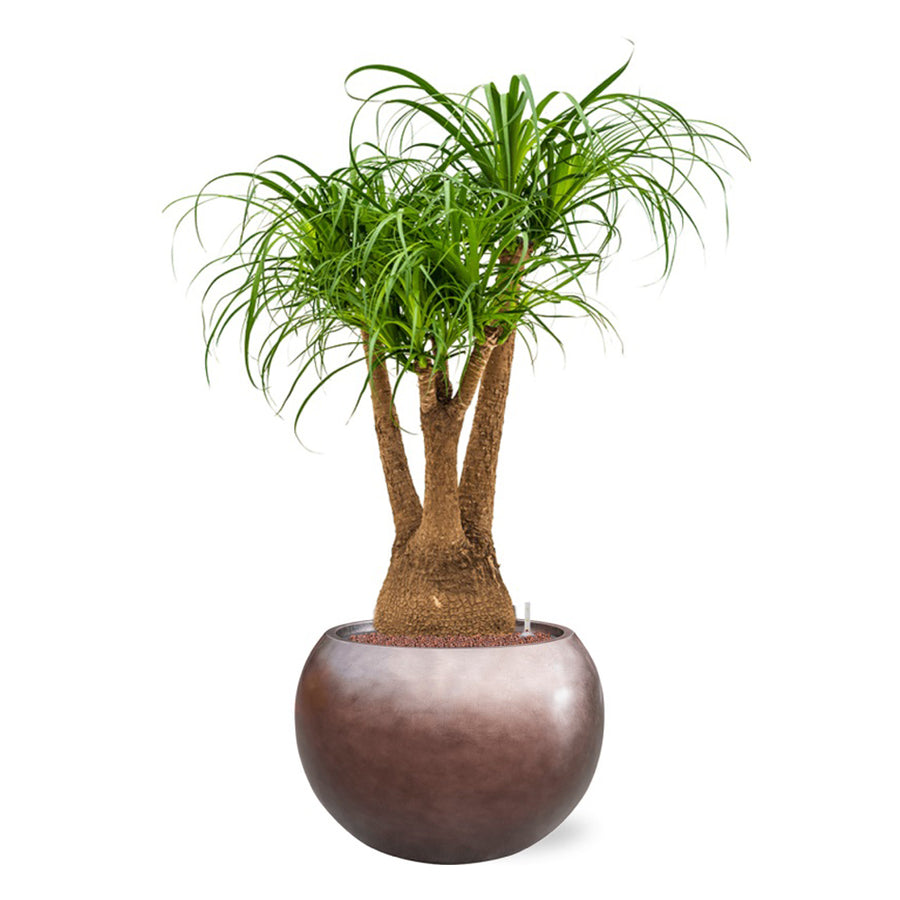 BAQ METALLIC GLOBE MATT COFFEE kaspó