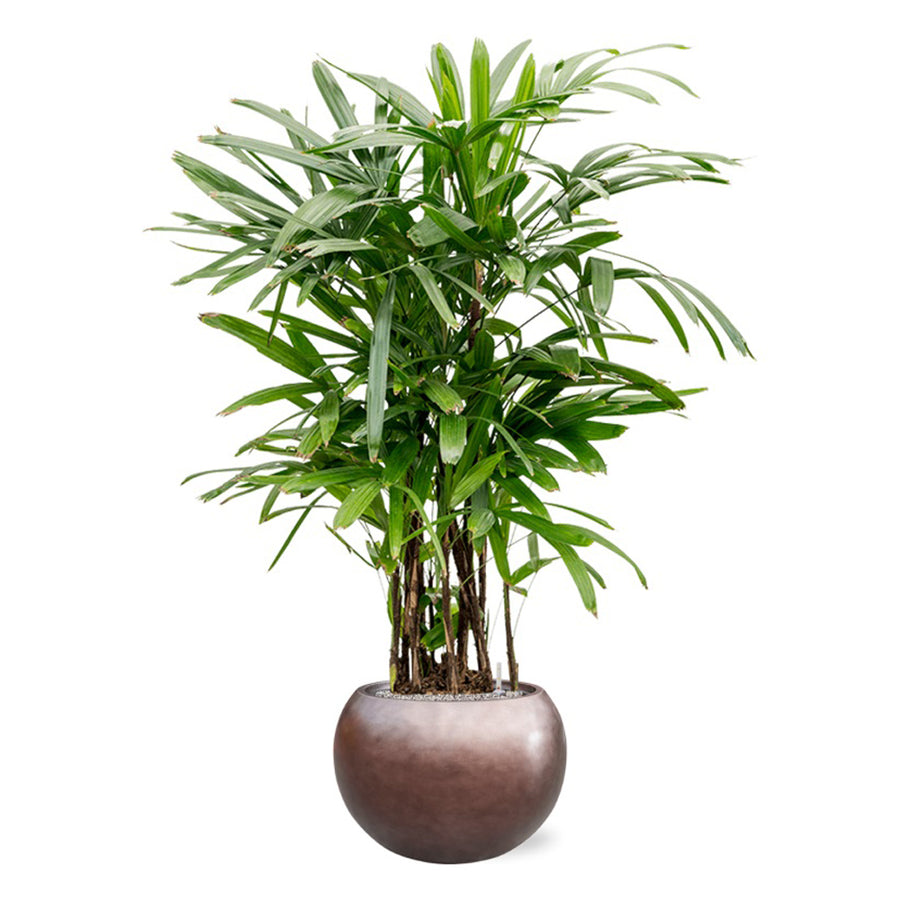 BAQ METALLIC GLOBE MATT COFFEE kaspó