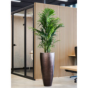 Kaspó modern irodai környezetben, magas növénnyel beültetve