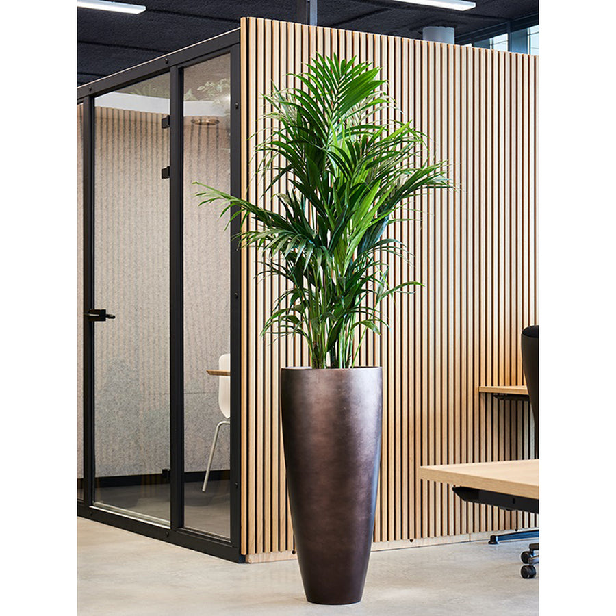 Kaspó modern irodai környezetben, magas növénnyel beültetve