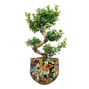 3 darabos, őszi hangulatú, fém design kaspó szett.