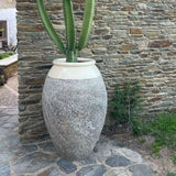 Nagy méretű kerámia kaspó kaktusszal kőfal mellett, természetes provence hangulatban