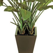 Az alsó rész közelről: fekete kaspó és sűrű szárak a Bird of Paradise mű strelitzián, természetes hatású kidolgozással.