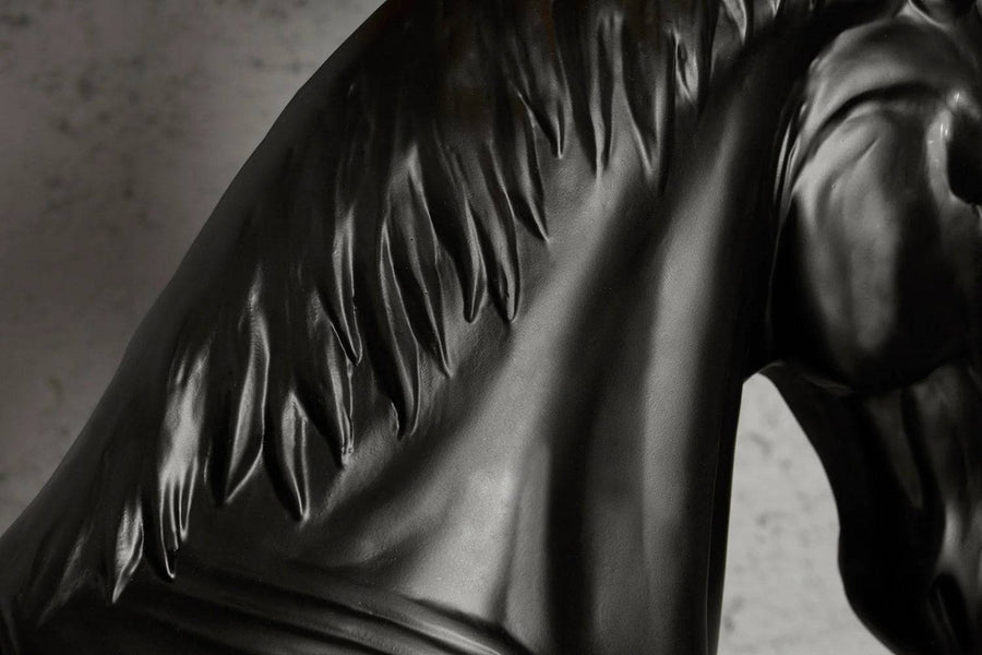 Black Beauty lótorzó részlet, fény-árnyék játékkal