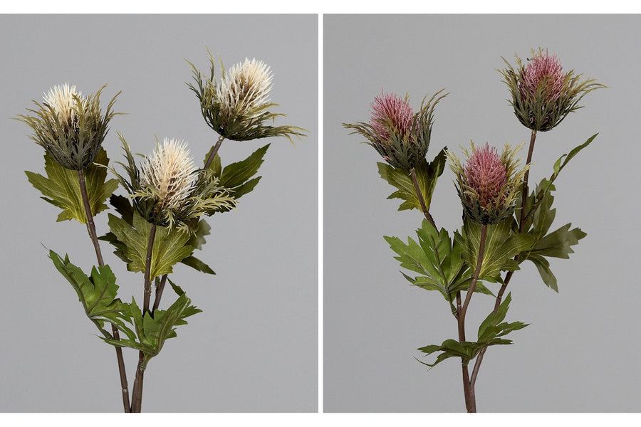 Krém és fáradt pink színárnyalatú bogáncs művirág.