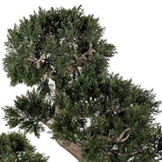 Sűrű lombkorona részlet – UV-álló zöld bonsai fa élethű megjelenéssel.