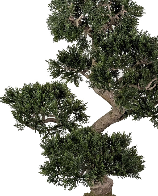 Mű cédrus bonsai ágai és levelei közelről – UV-álló kültéri bonsai növény.