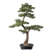 Zöld színű, mű cédrus bonsai fa, fekete színű ovális műanyag cserépben.
