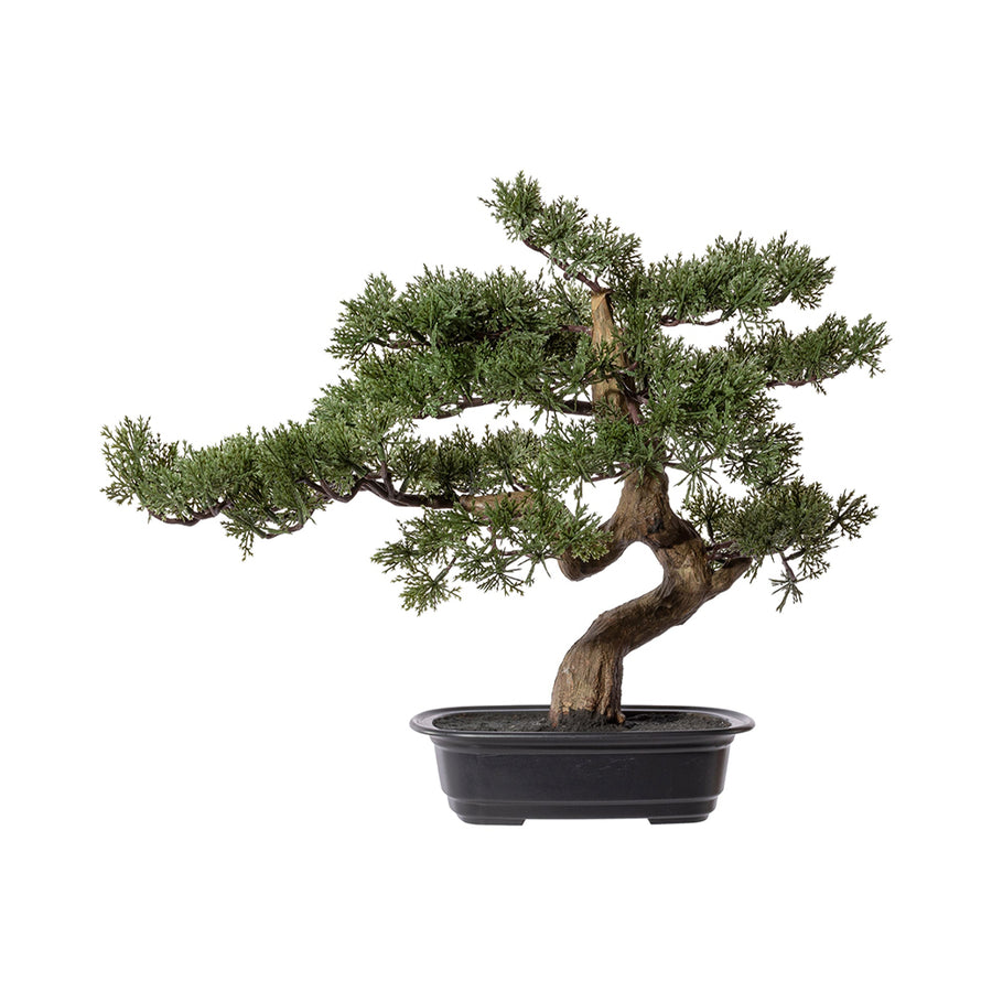 Mű cédrus bonsai fa, fekete színű ovális műanyag cserépben.