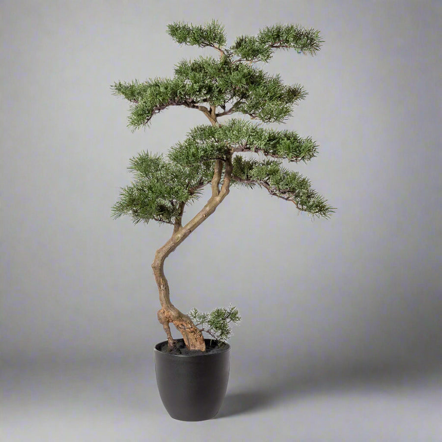 Zöld színű, mű cédrus bonsai fa, fekete színű műanyag cserépben.
