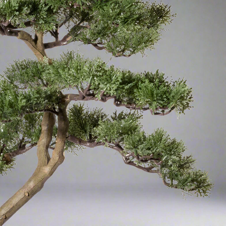 Zöld színű, mű cédrus bonsai fa, fekete színű műanyag cserépben.