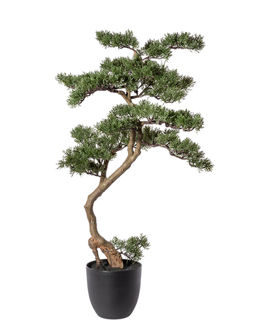 Zöld színű, mű cédrus bonsai fa, fekete színű műanyag cserépben.