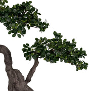 BONSAI FICUS mű bonsai fa természetes hatású oldalágakkal és levélzettel