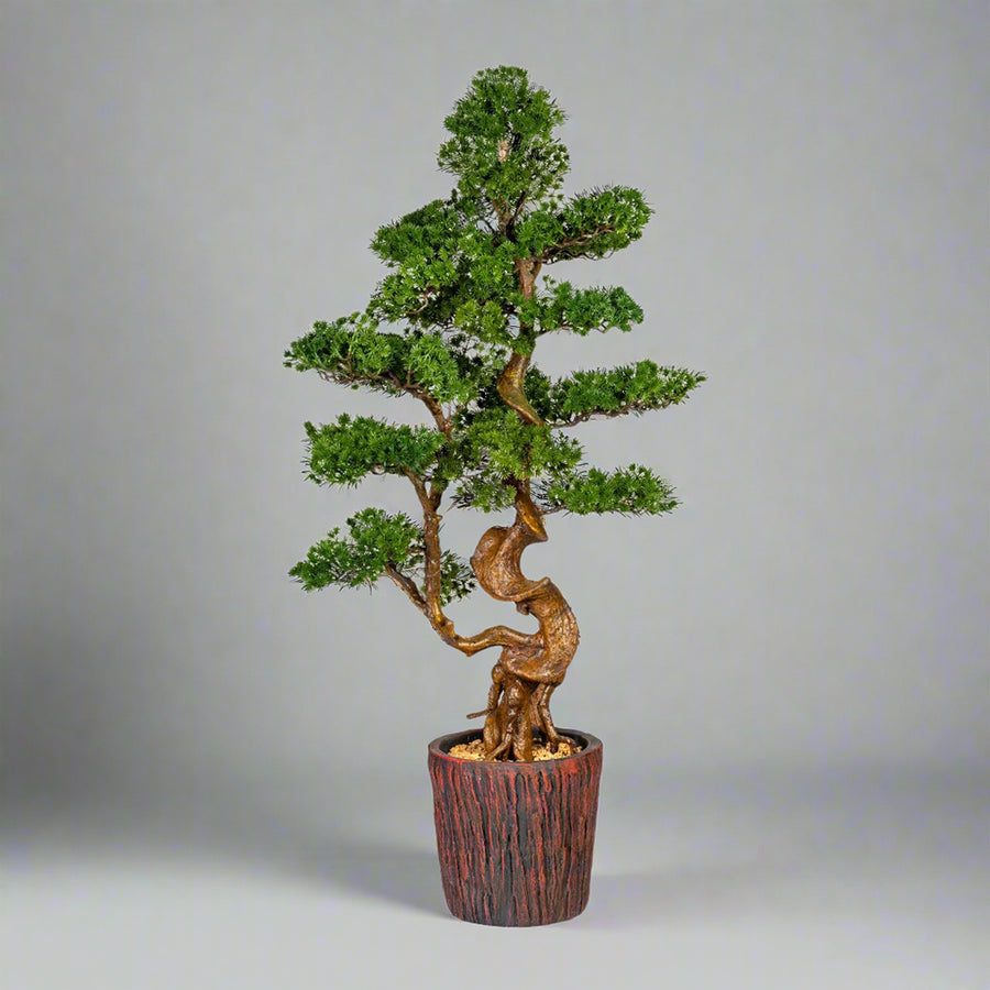 Mű vörösfenyő bonsai fa, farönk szerű kaspóban.