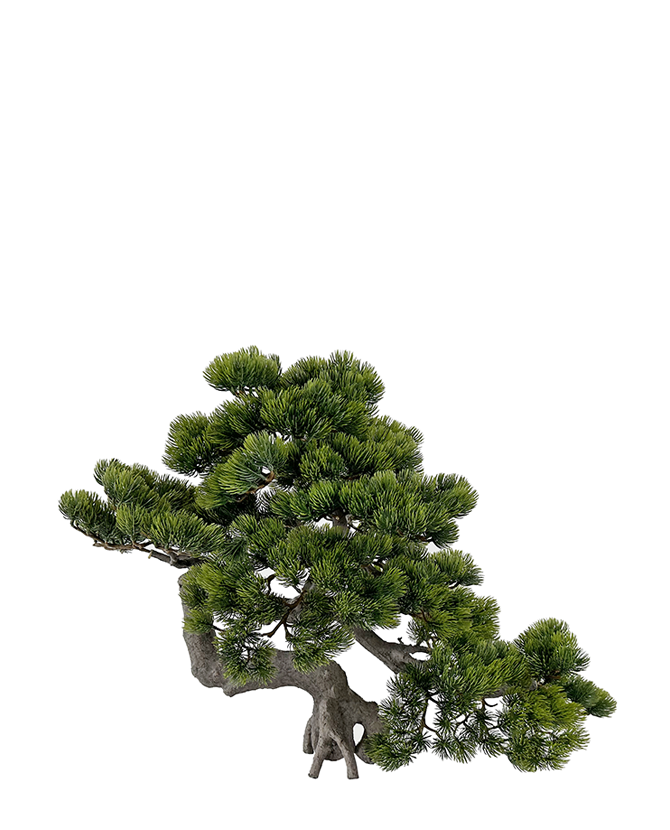 Zöld színű, mű fenyő bonsai fa.