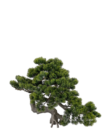 Zöld színű, mű fenyő bonsai fa.