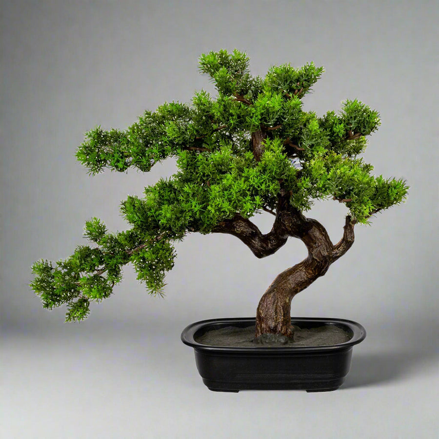 Mirtusz bonsai fa műnövény, fekete ültetőkaspóban.