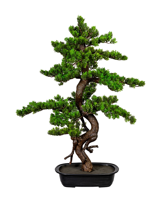 Zöld színű, mű mirtusz bonsai fa, fekete ovális műanyagkaspóban.