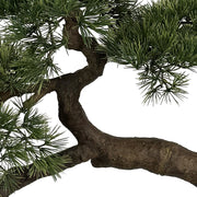 BONSAI mű fenyő bonsai fa természetes hatású törzsének közeli részlete