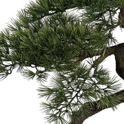 BONSAI mű fenyő bonsai fa élethű tűleveles ágstruktúrájának részlete