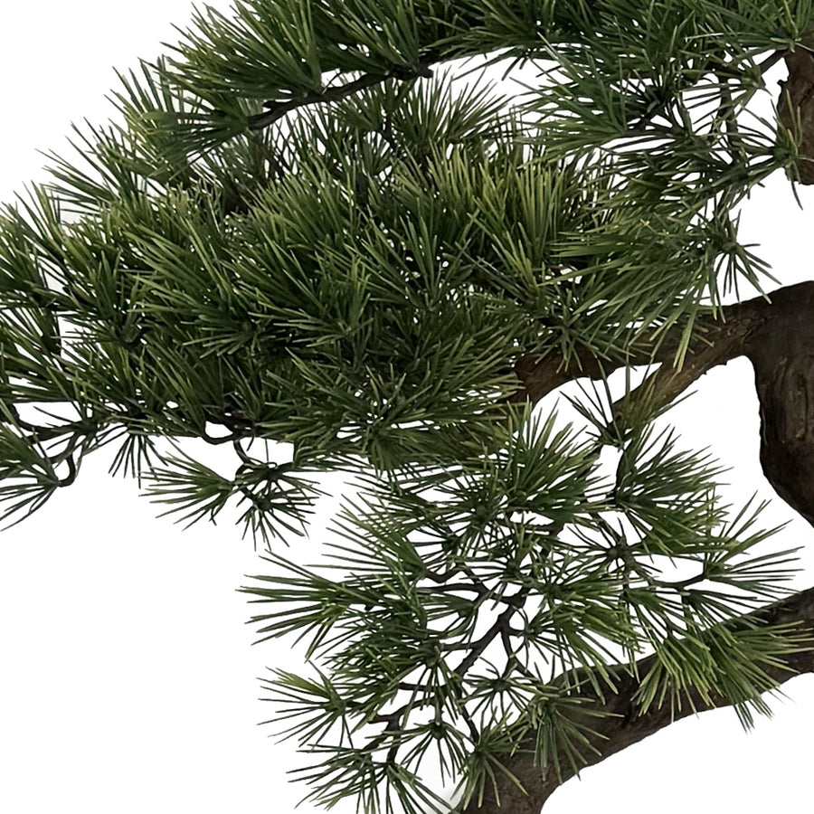 BONSAI mű fenyő bonsai fa élethű tűleveles ágstruktúrájának részlete