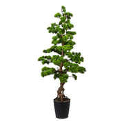 Zöld mű bonsai fenyő fekete kaspóban.