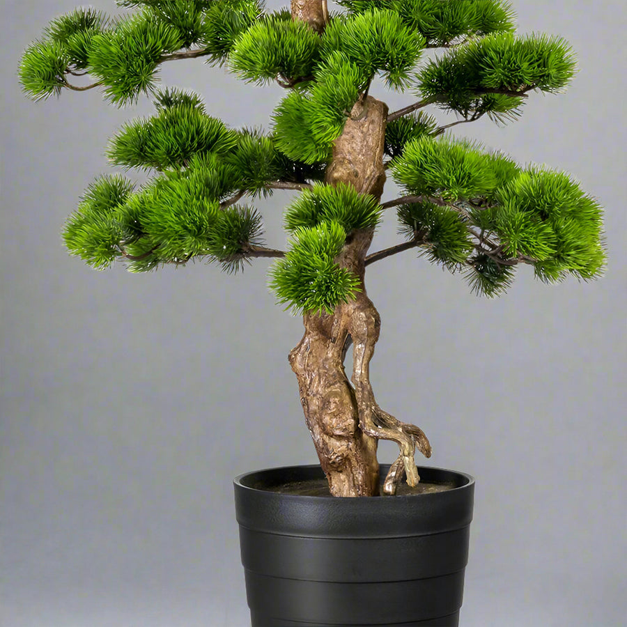 Zöld színű, mű fenyő bonsai fa, fekete színű műanyag cserépben.