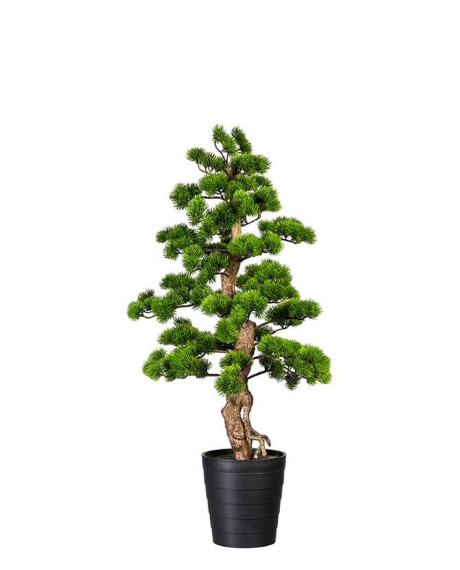 Zöld színű, mű fenyő bonsai fa, fekete színű műanyag cserépben.
