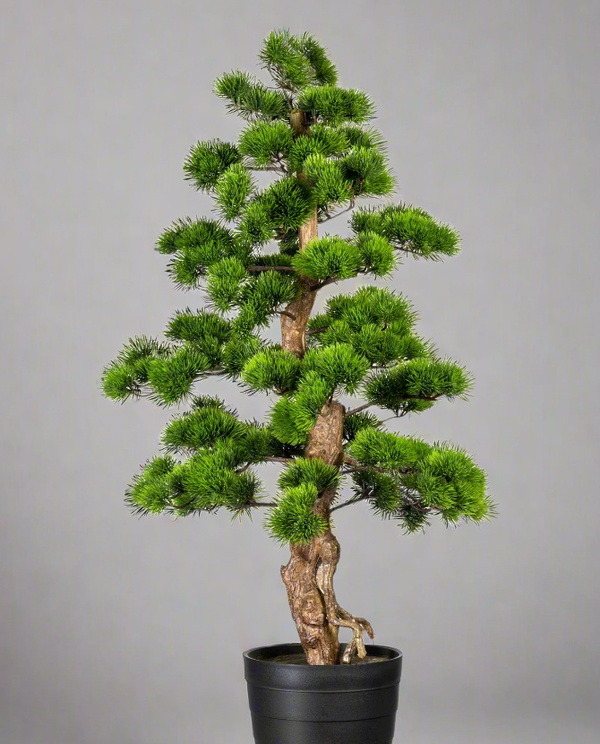 Zöld színű, mű fenyő bonsai fa, fekete színű műanyag cserépben.