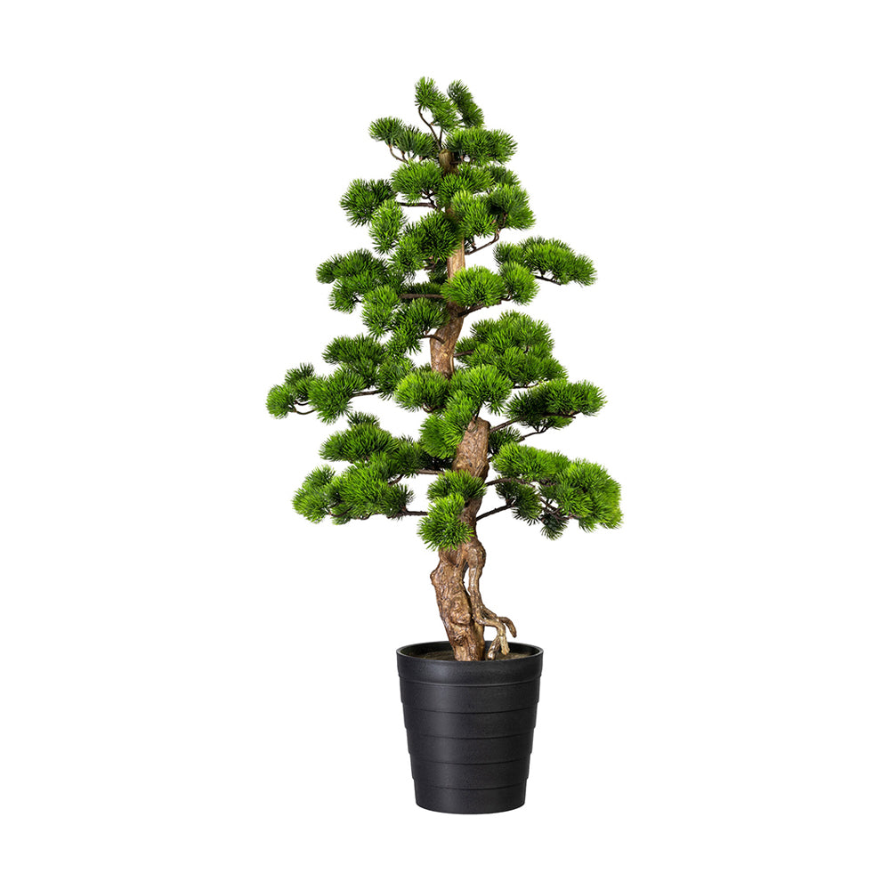 Zöld színű, mű fenyő bonsai fa, fekete színű műanyag cserépben.