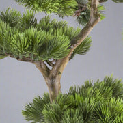 Mű fenyő bonsai fa, fekete színű műanyag cserépben.