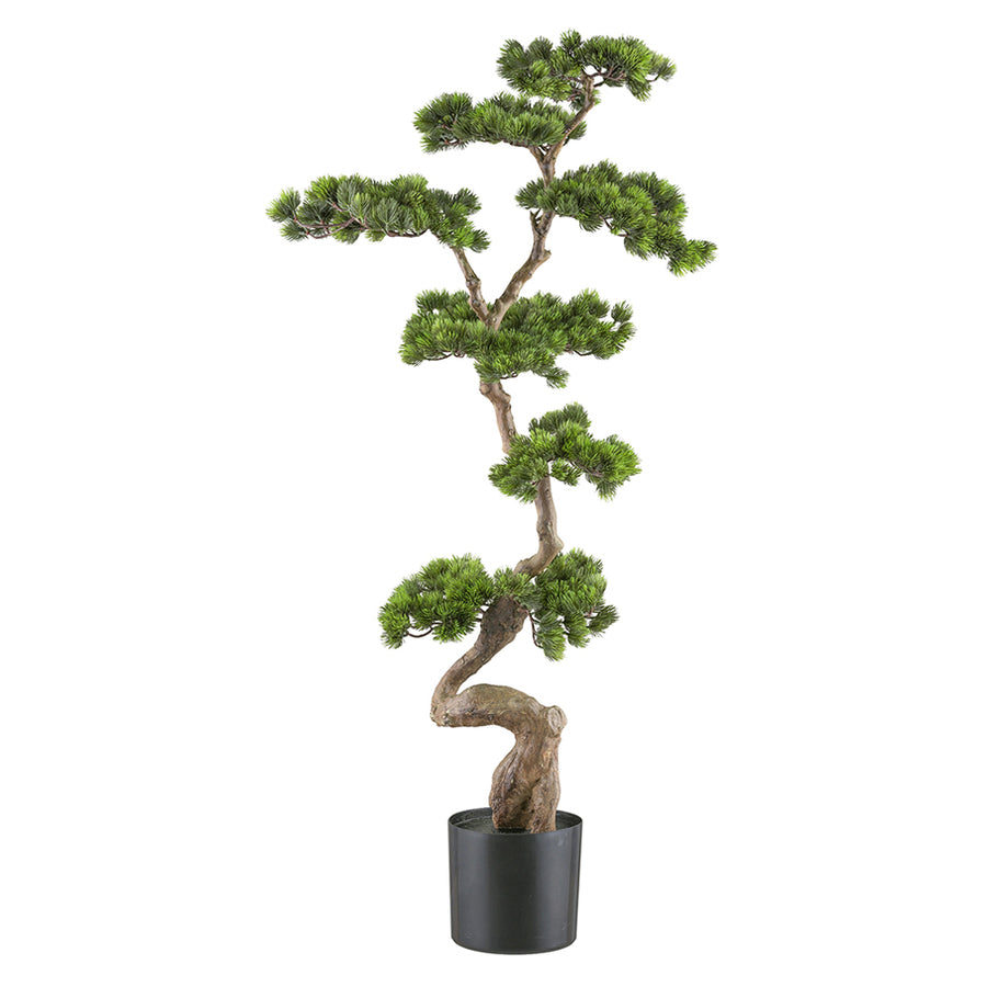 Mű fenyő bonsai fa, fekete színű műanyag cserépben.