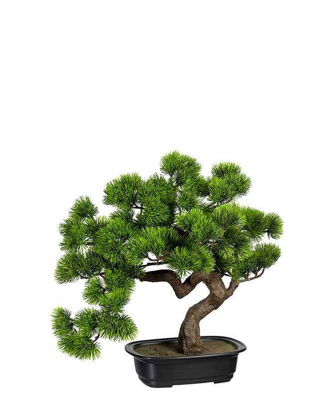 Zöld színű, mű fenyő bonsai fa, fekete színű, ovális műanyag cserépben.