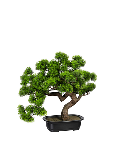 Zöld színű, mű fenyő bonsai fa, fekete színű, ovális műanyag cserépben.