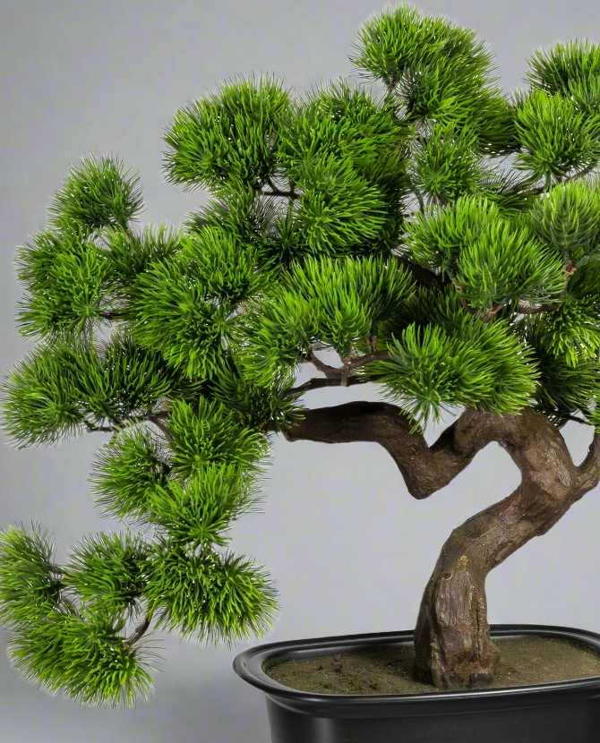 Zöld színű, mű fenyő bonsai fa, fekete színű, ovális műanyag cserépben.