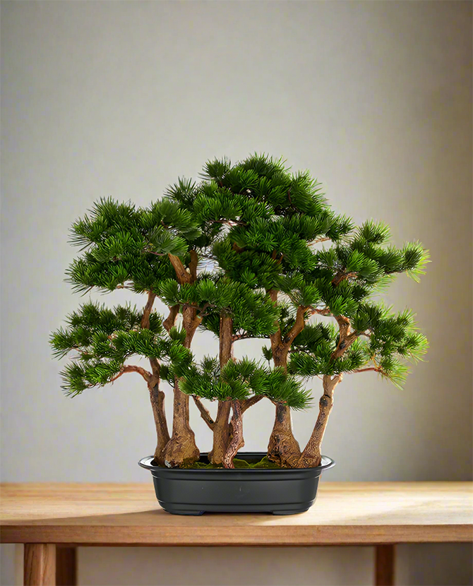 Zöld színű, mű fenyő bonsai fa, fekete színű műanyag cserépbe.