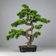 Zöld színű, mű fenyő bonsai fa, fekete színű, ovális műanyag cserépben.