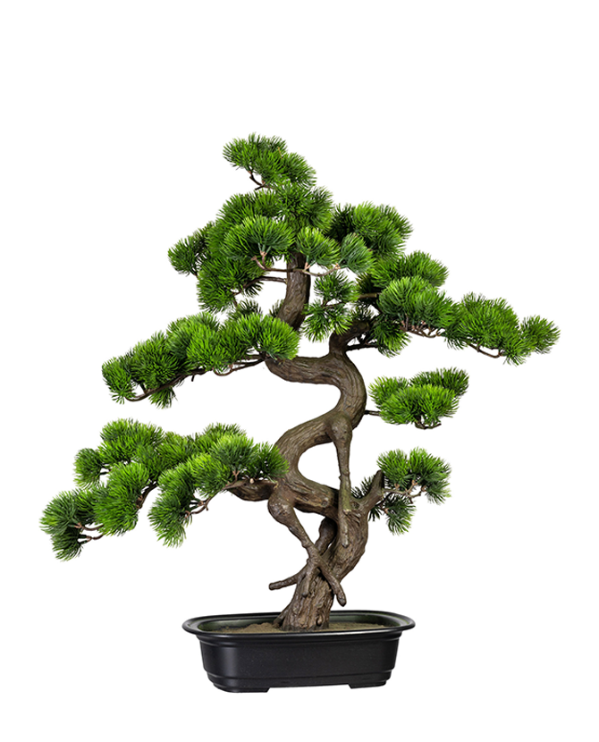 Zöld színű, mű fenyő bonsai fa, fekete színű, ovális műanyag cserépben.