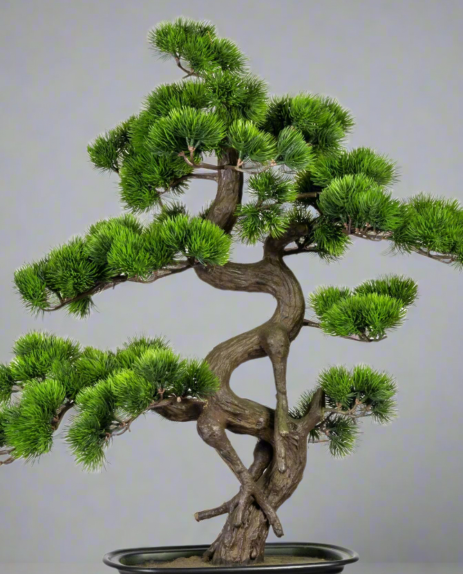 Zöld színű, mű fenyő bonsai fa, fekete színű, ovális műanyag cserépben.