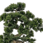 Zöld színű, mű fenyő bonsai fa, fekete színű, ovális műanyag cserépben.