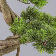 Mű fenyő bonsai fa, fekete színű műanyag cserépben.