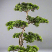 Mű fenyő bonsai fa, fekete színű műanyag cserépben.