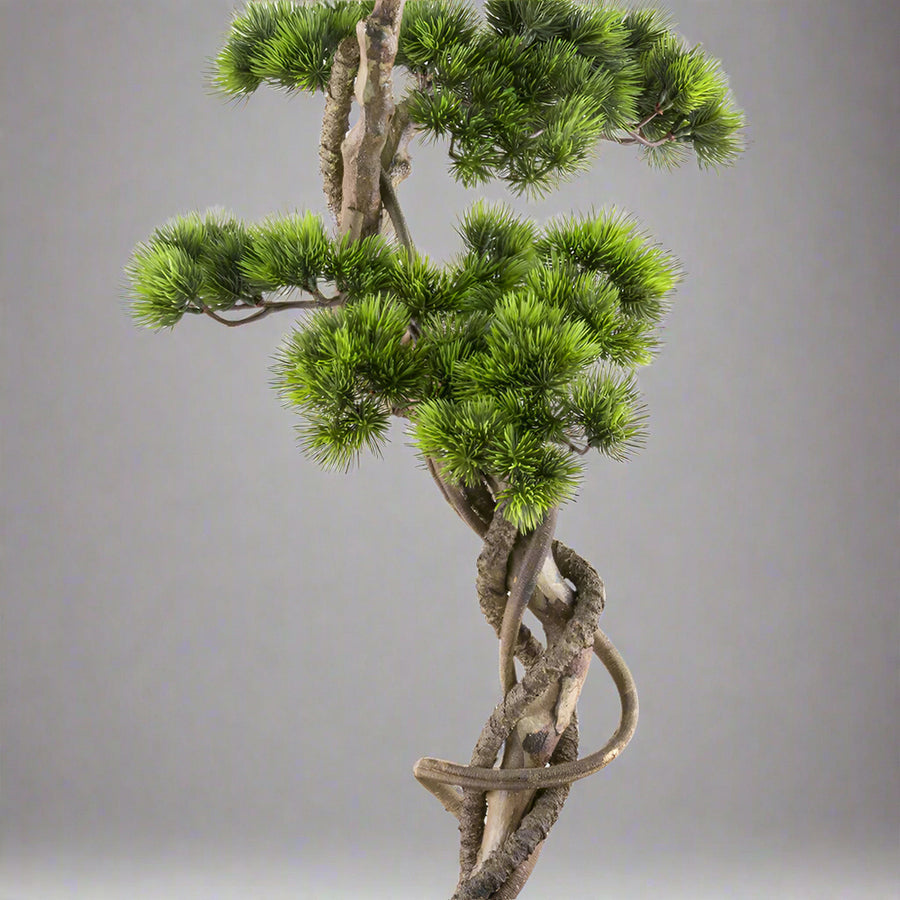 Mű fenyő bonsai fa, fekete színű műanyag cserépben.