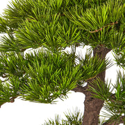 BONSAI PINUS mű bonsai közelkép valósághű fenyőtűkkel és természetes hatású lombkoronával