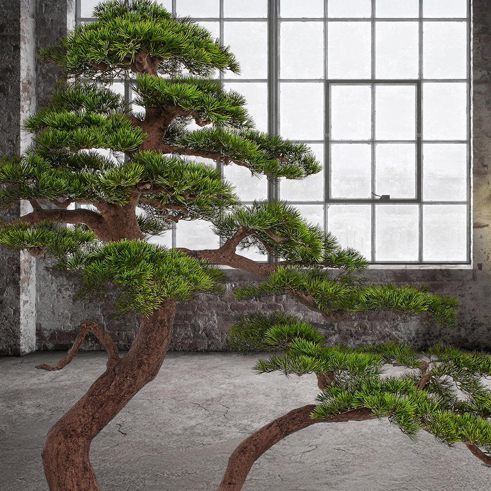 BONSAI PINUS 250 cm magas zöld mű bonsai fa loft stílusú enteriőrben elhelyezve