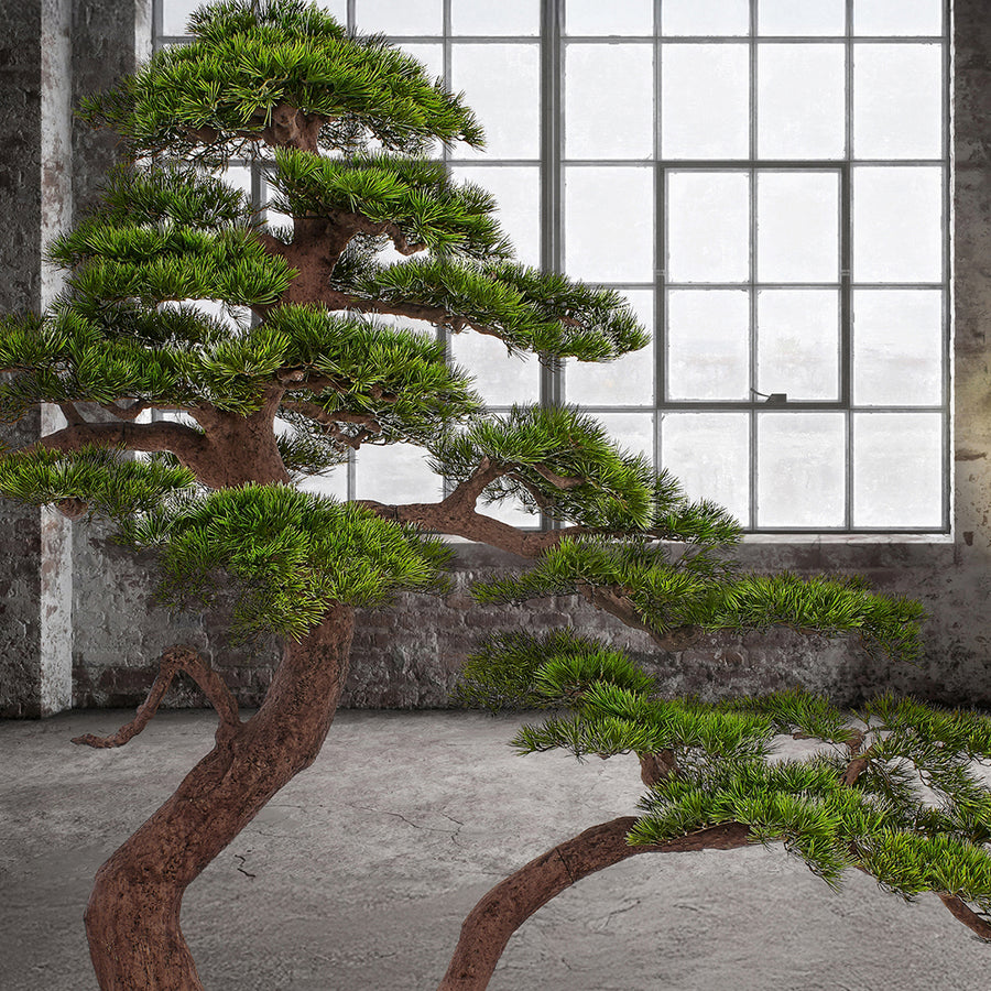 BONSAI PINUS 250 cm magas zöld mű bonsai fa loft stílusú enteriőrben elhelyezve