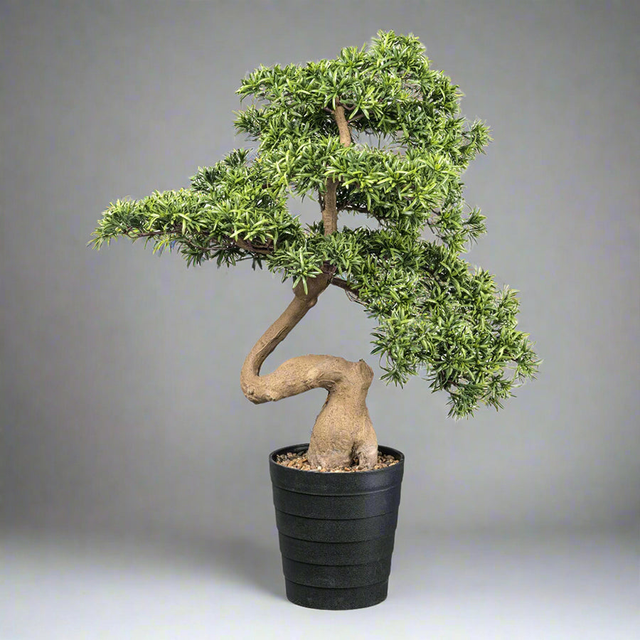 Mű kőfenyő bonsai fa, fekete színű műanyag cserépben.